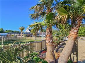 Le Camping Les Goelands, camping à Plouharnel