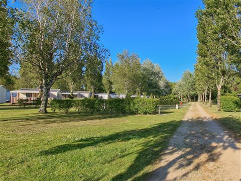 Emplacements du camping -  Le Camping Les Goelands
