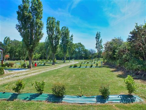 Emplacements du camping -  Le Camping Les Goelands
